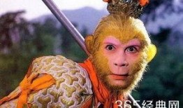 娱乐吃瓜酱孙悟空,娱乐吃瓜界的传奇英雄